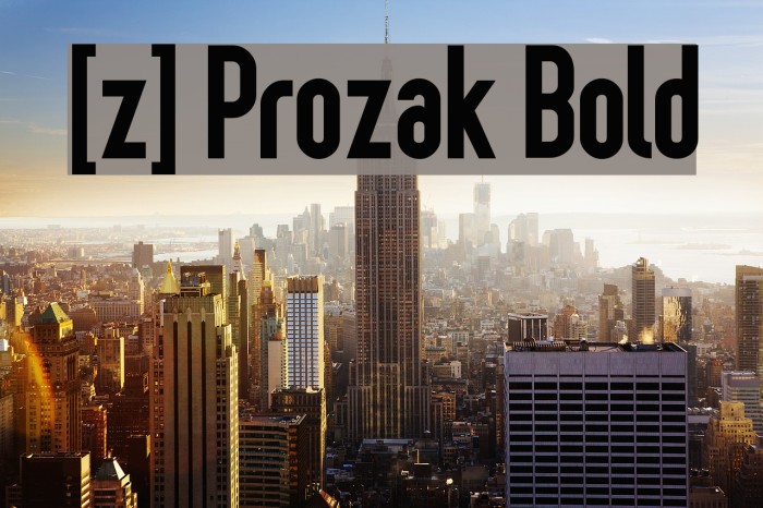 [z] Prozak Bold Шрифта examples