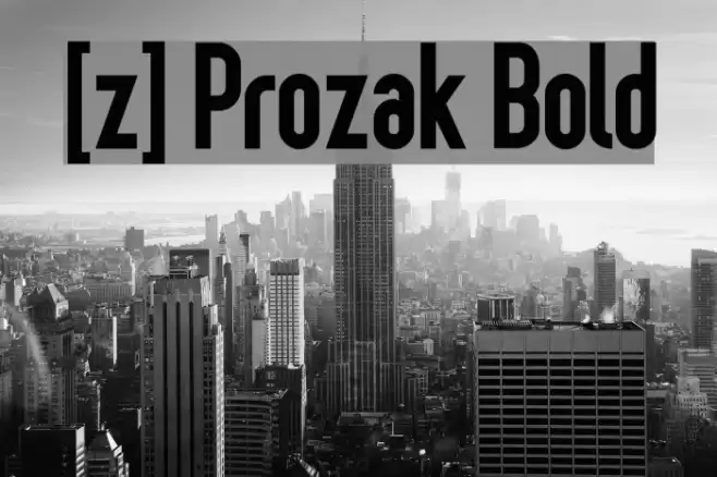 [z] Prozak Bold Шрифта examples