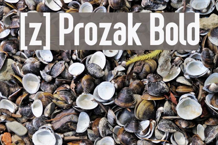 [z] Prozak Bold Шрифта examples