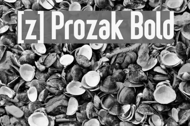 [z] Prozak Bold Шрифта examples