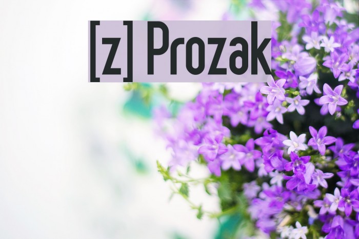 [z] Prozak Example 1