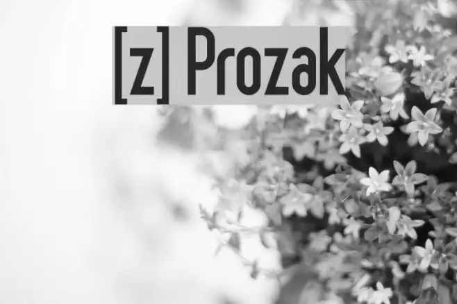 [z] Prozak Шрифта examples