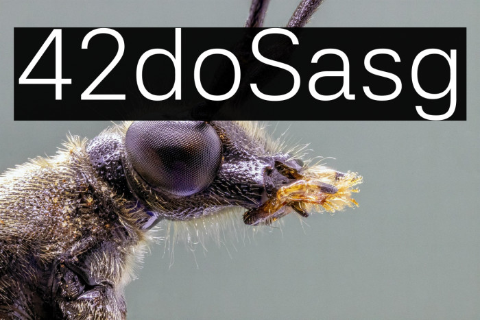 42dot Sans Light Example 2