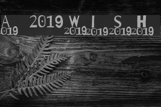 A 2019 Wish Caratteri examples