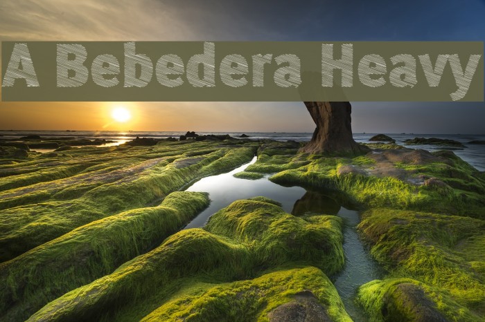 A Bebedera Heavy Font examples