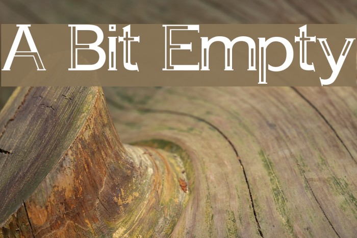 A Bit Empty Font examples
