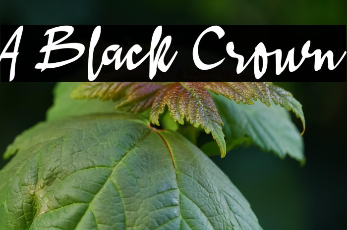 A Black Crown Example 2