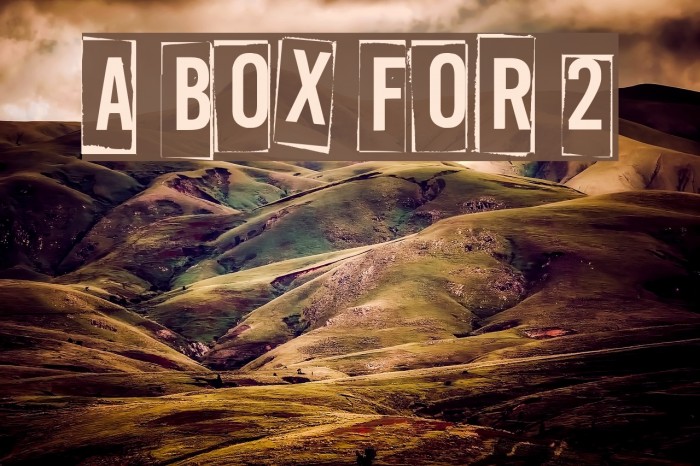 A Box For 2 Font examples