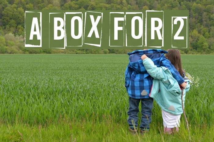 A Box For 2 Font examples