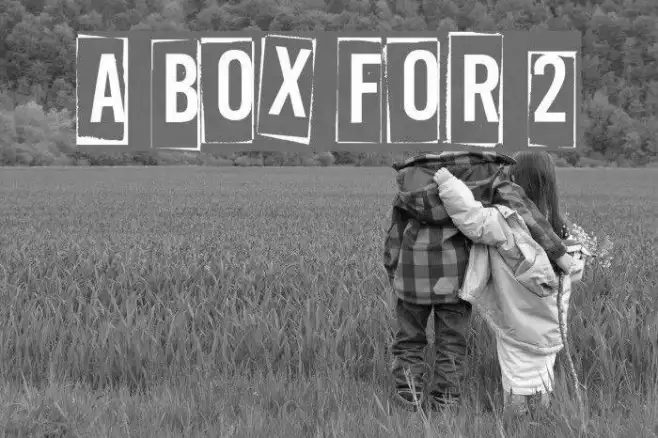 A Box For 2 Example 3