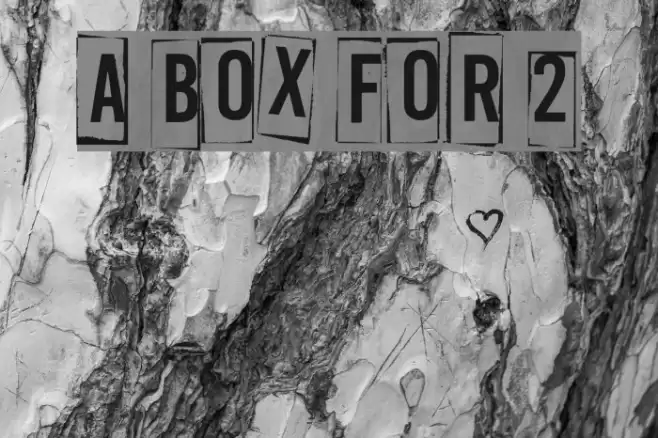 A Box For 2 Font examples