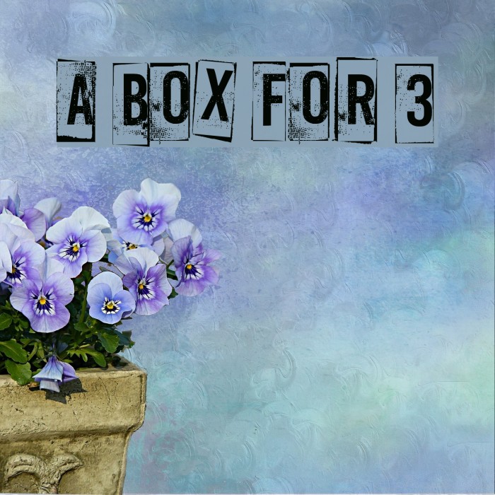 A Box For 3 Font examples