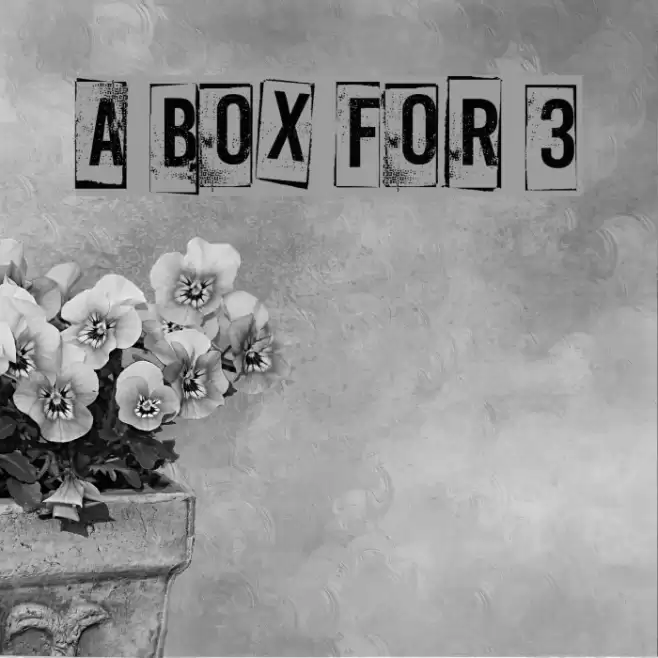 A Box For 3 Fonte examples