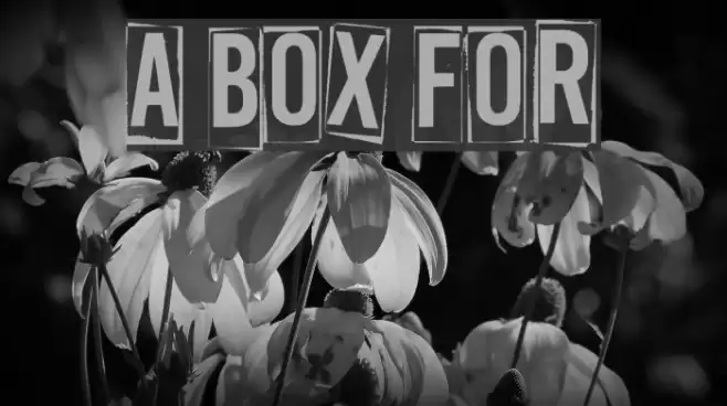 A Box For Шрифта examples