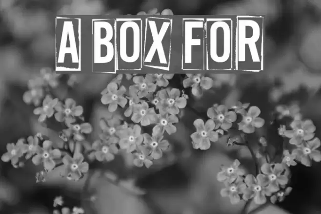 A Box For फ़ॉन्ट examples