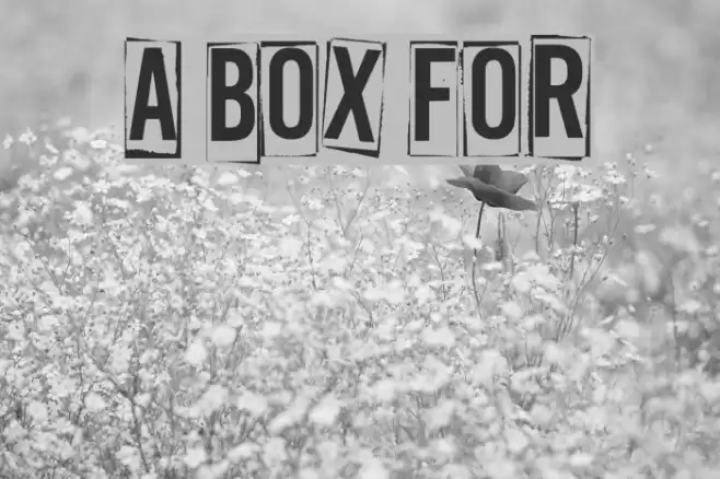 A Box For फ़ॉन्ट examples
