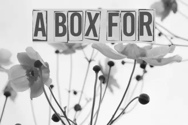 A Box For फ़ॉन्ट examples