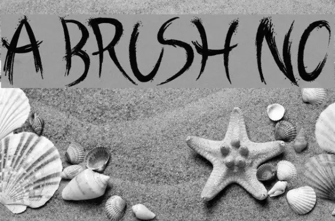 A Brush No Example 2