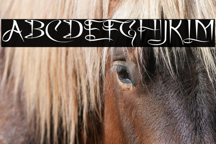 A Charming Font Expanded Example 1