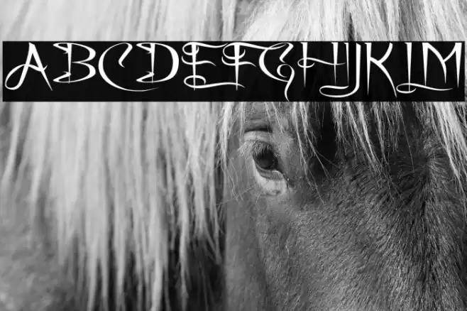 A Charming Font Expanded Polices examples