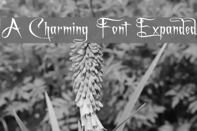 A Charming Font Expanded Font examples