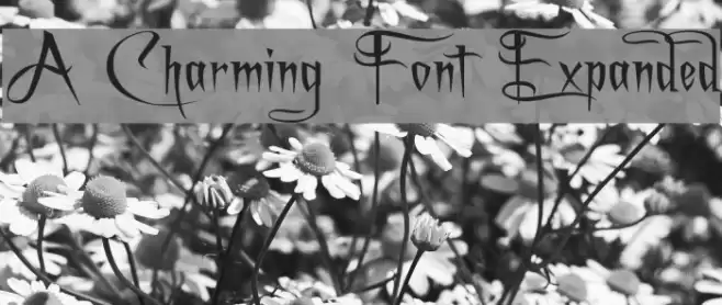 A Charming Font Expanded Font examples