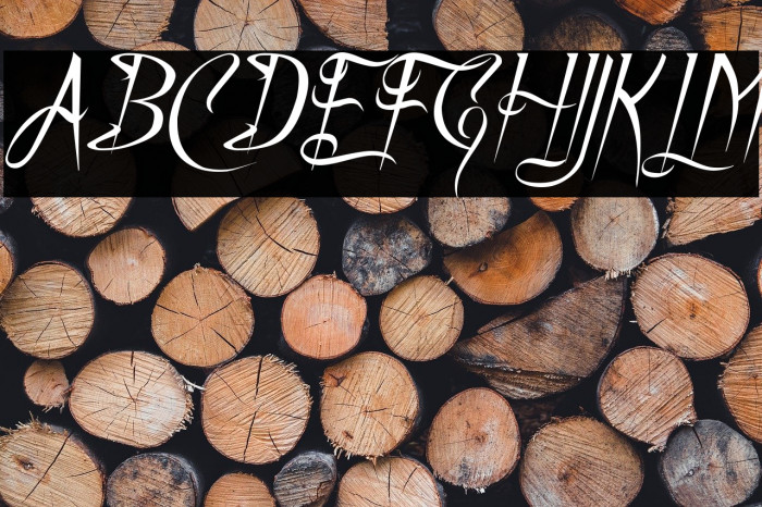 A Charming Font Italic Example 1