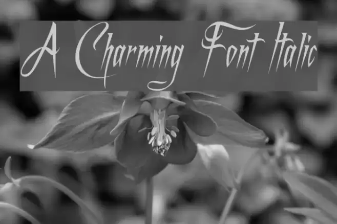 A Charming Font Italic Font examples