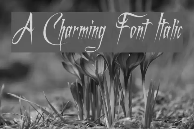 A Charming Font Italic Font examples