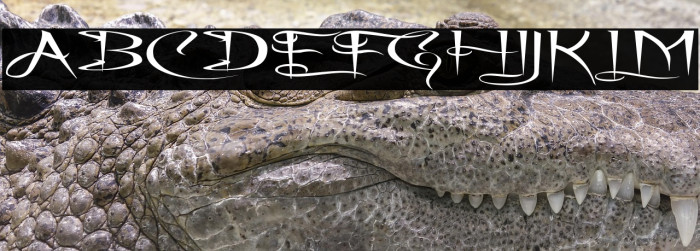 A Charming Font Superexpanded Example 1