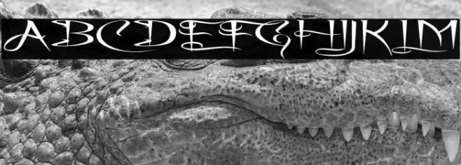 A Charming Font Superexpanded Font examples