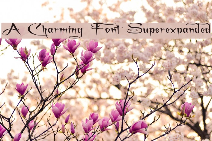 A Charming Font Superexpanded Font examples
