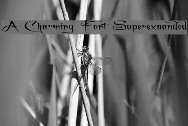 A Charming Font Superexpanded Schriftart examples