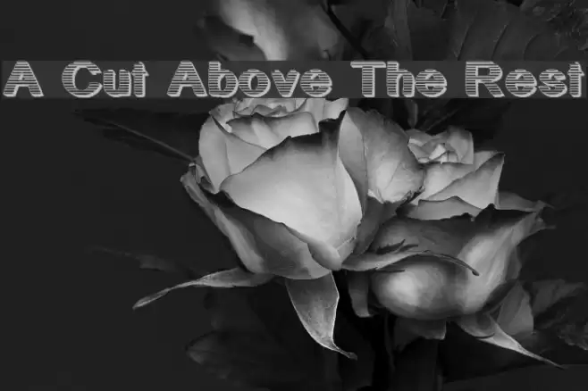 A Cut Above The Rest خط examples