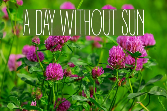 A DAY WITHOUT SUN Font examples