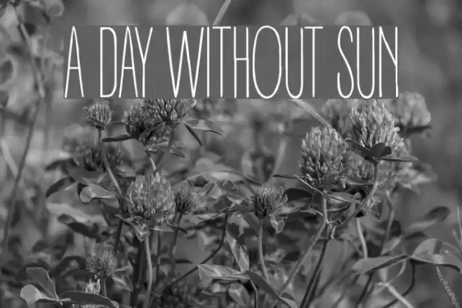 A DAY WITHOUT SUN Polices examples