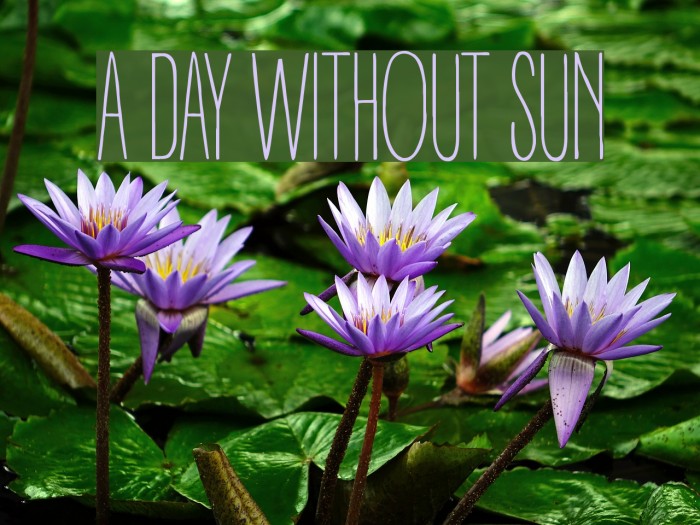 A DAY WITHOUT SUN Font examples