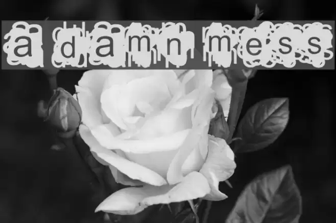 A Damn Mess Polices examples