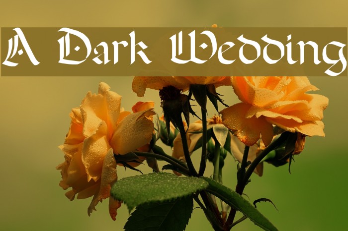 A Dark Wedding Font examples