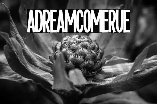A Dream Come True Example 1