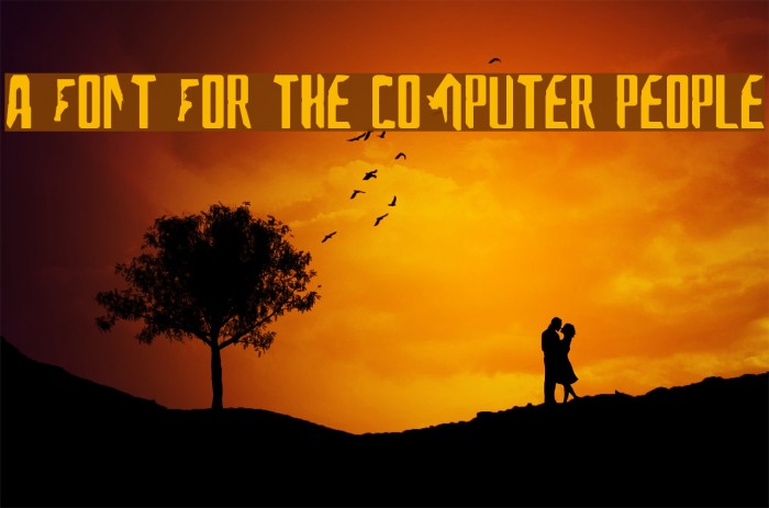A Font For The Computer People Font examples