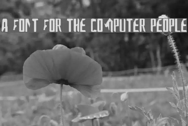 A Font For The Computer People Font examples