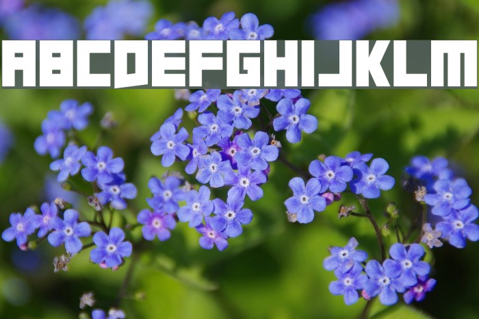 A Friend In Deed Font examples