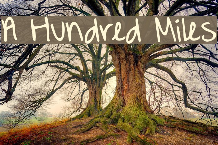 A Hundred Miles Font examples