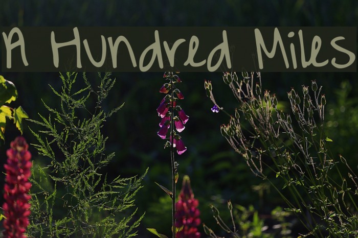 A Hundred Miles Font examples
