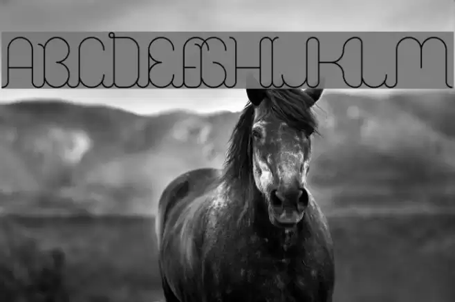 A La Nage Font examples