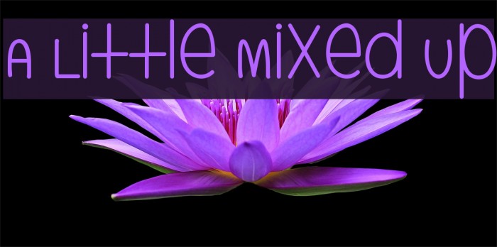 A Little Mixed Up Font examples