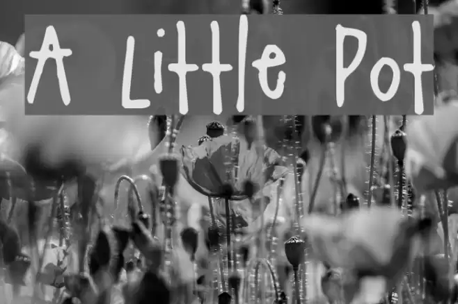 A Little Pot Font examples