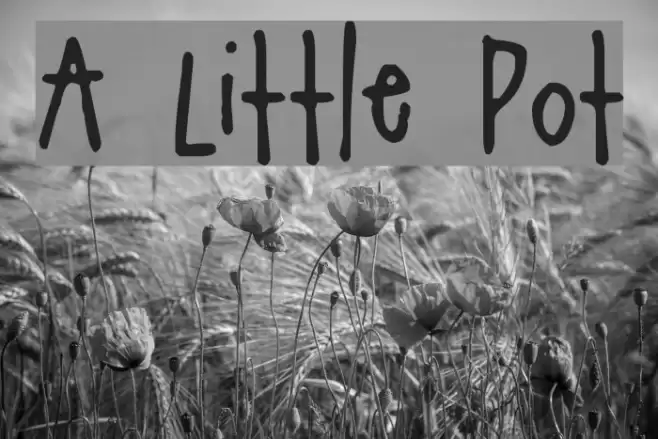 A Little Pot Font examples