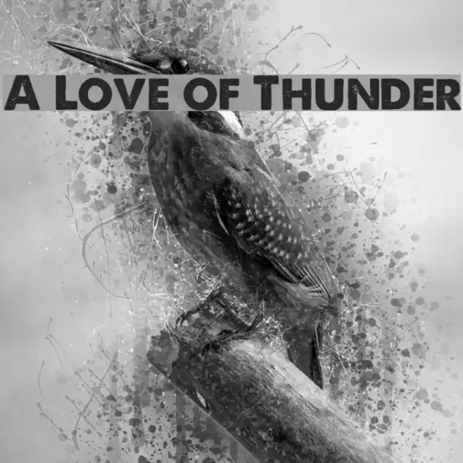 A Love of Thunder フォント examples